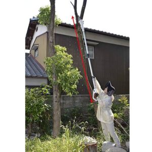 Rechargeable Telescopic Pole Chainsaw Koshin SPS-1820 Series